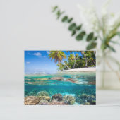 Carte Postale L'île tropicale sous et au-dessus de l'eau (Debout devant)