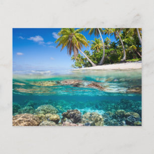 Carte Postale L'île tropicale sous et au-dessus de l'eau