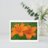 Carte postale Lilies (Debout devant)