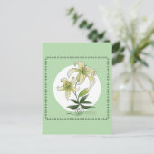 Carte Postale Lilies (Debout devant)