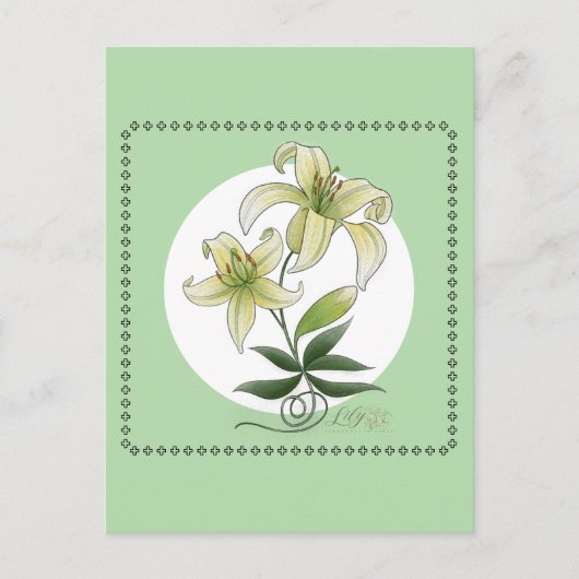Carte Postale Lilies (Devant)