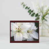 Carte Postale Lilies (Debout devant)