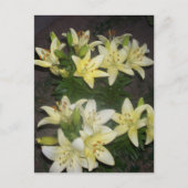Carte Postale Lilies (Devant)