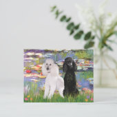 Carte Postale Lilies2 - Poodles standard (noir et blanc) (Debout devant)