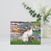 Carte Postale Lilies 2 - Blue Point Chat siamois (Debout devant)