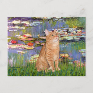 Carte Postale Lilies 2 - Chat tigré orange 46