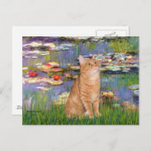 Carte Postale Lilies 2 - Orange Tabby cat 46 (Devant / Derrière)