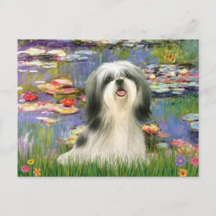 Carte Postale Lilies (#2) - Shih Tzu #3
