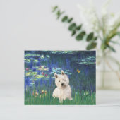 Carte Postale Lilies 5 - Westie 1 (Debout devant)