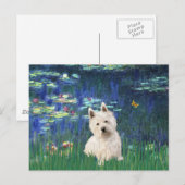 Carte Postale Lilies 5 - Westie 1 (Devant / Derrière)