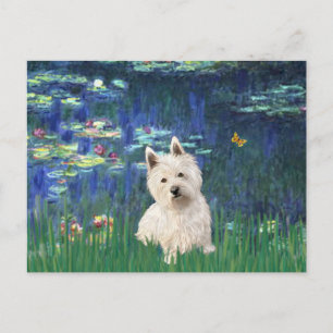 Carte Postale Lilies 5 - Westie 1