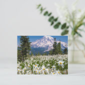 Carte Postale Lilies des avalanches et Mont Rainier 2 (Debout devant)
