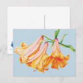 Carte Postale Lilies orange sur fond bleu au crayon aquarelle (Devant / Derrière)