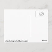 Carte Postale Lilikoi (Dos)