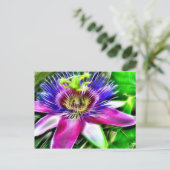 Carte Postale Lilikoi ou Fleur de Passion (Debout devant)