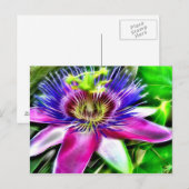 Carte Postale Lilikoi ou Fleur de Passion (Devant / Derrière)