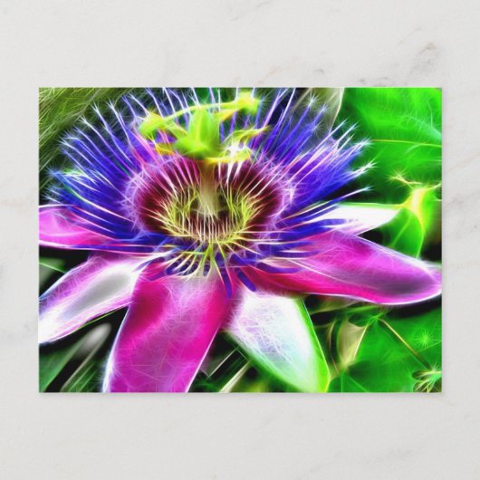 Carte Postale Lilikoi ou Fleur de Passion (Devant)
