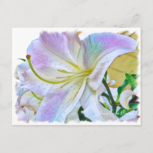 Carte Postale Lilium ‘Casa Blanca’ [Carte postale] ポ ー ド