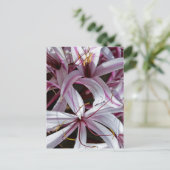 Carte Postale Liliums (Debout devant)