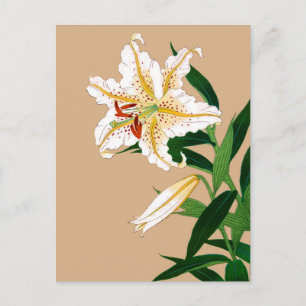 Carte Postale Liliy japonaise vintage. Blanc, vert et beige