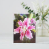 Carte Postale Lilles stargazer #2 (Debout devant)