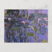 Carte postale - Lillies d'eau (Devant)