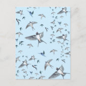 Carte Postale L'Illustration De L'Avalière Volante (Devant)