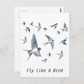 Carte Postale L'Illustration De L'Avalière Volante (Devant / Derrière)