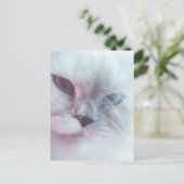 Carte Postale Lilly (Debout devant)