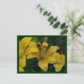 Carte Postale lilly (Debout devant)
