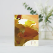 Carte postale LILLY (Debout devant)