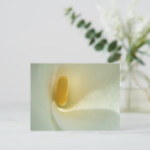 Carte postale Lilly Center (Debout devant)