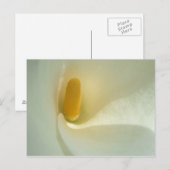 Carte postale Lilly Center (Devant / Derrière)