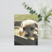 Carte Postale Lilly dans une boîte (Debout devant)