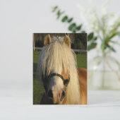 Carte Postale Lil's Bill (Debout devant)