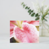 Carte postale Lily (Debout devant)