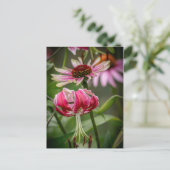 Carte Postale Lily (Debout devant)