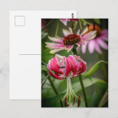 Carte Postale Lily (Devant / Derrière)