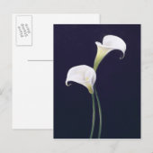 Carte Postale Lily (Devant / Derrière)