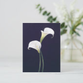Carte Postale Lily (Debout devant)