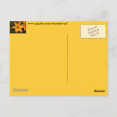 Carte postale Lily (Dos)
