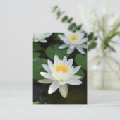 Carte Postale Lily (Debout devant)