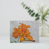Carte Postale Lily (Debout devant)