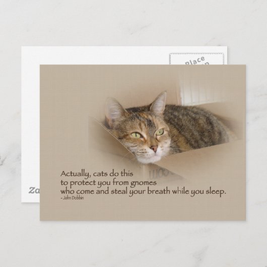 Carte Postale Lily #1 (Devant / Derrière)