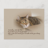 Carte Postale Lily #1 (Devant)