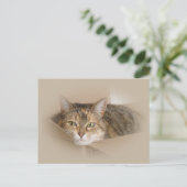 Carte Postale Lily #2 (Debout devant)