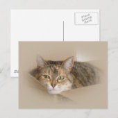 Carte Postale Lily #2 (Devant / Derrière)