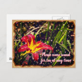Carte Postale Lily Come pour le thé (Devant / Derrière)