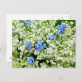 Carte Postale Lily de la vallée (Devant / Derrière)