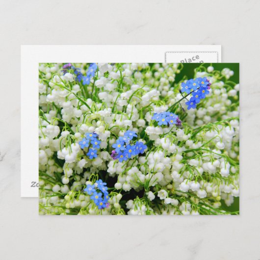 Carte Postale Lily de la vallée (Devant / Derrière)